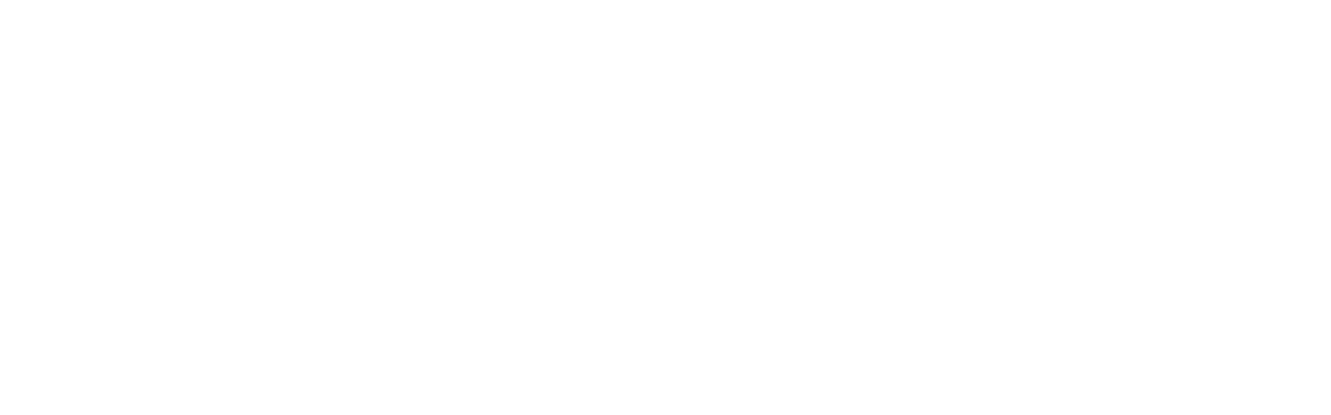 Logo FV #FFFFFF